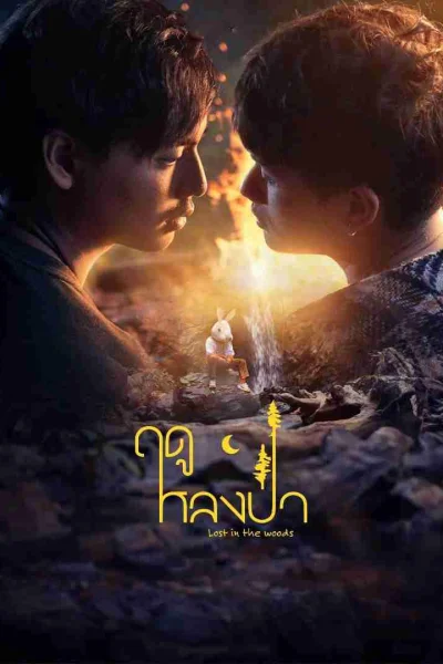 Mùa Lạc Trong Rừng